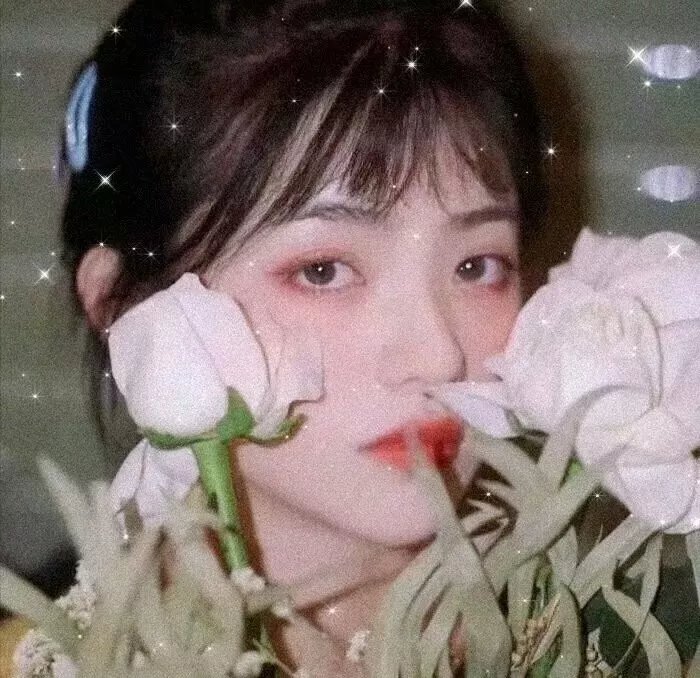 美感游击队